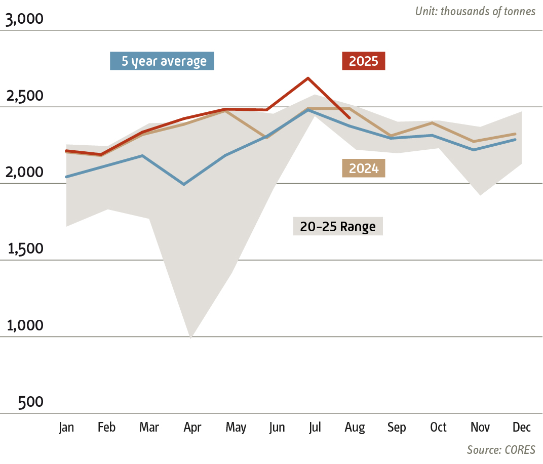 Evolution of road fuel consumption - 2024