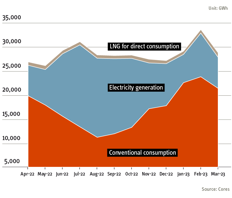 Natural gas consumption last 12 monts